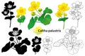 Vector set with outline Caltha palustris or Marsh-marigold flower and leaf in black and color isolated on white background. Royalty Free Stock Photo