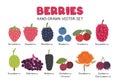 Berries flat vector illustration set in cartoon clipart style. Strawberry, raspberry, blackberry, blueberry Royalty Free Stock Photo