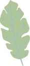 Hand drawn summer leaves vector element Royalty Free Stock Photo