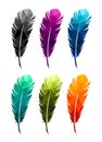 Print art concept colorful design tattoo black feather flying birds swallows silhouette. Vector illustration fly magical pen write