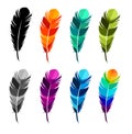 Print art concept colorful design tattoo black feather flying birds swallows silhouette. Vector illustration fly magical pen write