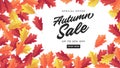 Autumn sale banner for shopping sale. Colorful autumn leaves background.