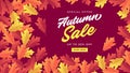 Autumn sale banner for shopping sale. Colorful autumn leaves background.