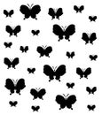 Print black butterflies on a white background