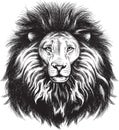 Lion portrait illustration with bushy mane