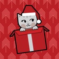 Cat in the box as christmas present Royalty Free Stock Photo