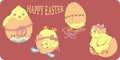 Chicken hatching stages. Newborn little cute chick. Royalty Free Stock Photo