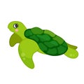 Vector illustration of turtle