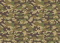 Print combat soldier texture military camouflage repeats seamless army green hunting Royalty Free Stock Photo