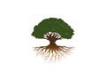 Creative Tree Roots Logo Royalty Free Stock Photo