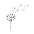 Dandelion flowers wildflowers graphic vector hand-drawn Royalty Free Stock Photo