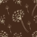 Dandelion flowers wildflowers graphic vector hand Royalty Free Stock Photo