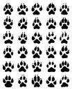 print of dogs paws