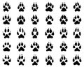 Print of dogs paws