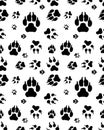 Print of dogs paws