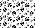 Print of dogs paws Royalty Free Stock Photo