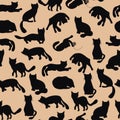 Doodle black funny cats seamless pattern Royalty Free Stock Photo