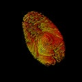 Print finger fingerprint vector crime identity thumb thumbprint unique security
