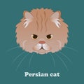 Print with fluffy cartoon Persian cat. Vector