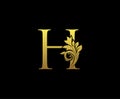 Golden Letter H Logo Icon . Initial Letter H Design Vector