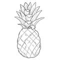 Graphic illustration of a pineapple in clipart style in isolate on a white background Royalty Free Stock Photo
