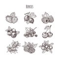 Hand drawn illustration berries set. Vector scetch.Vintage illustration.