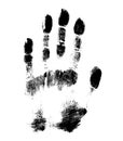 Print of hand of human, cute skin texture pattern,vector grunge illustration. Scanning the fingers, palm on white background. Royalty Free Stock Photo