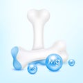 Healthy bone cartilage with blue magnesium. Human skeleton anatomy model isolated on white background. Royalty Free Stock Photo