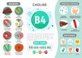 Infographics Vitamin B4.