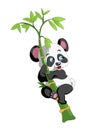 The laughing panda climb onto the bamboo design cartoon