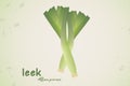 Leek vegetables fresh farm onion