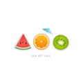 Orange, kiwi, watermelon. hello summer fruits