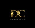 Premium letters D,C and DC logo icon vector design.