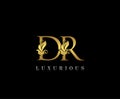 Premium letters D,R and DR logo icon vector design. Luxury decorative logotype.