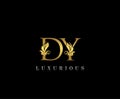 Premium letters D,Y and DY logo icon vector design. Luxury decorative logotype.