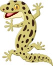 Cartoon gecko isolated on white background