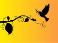 Branch and flying pigeon on yellow and orange background Royalty Free Stock Photo