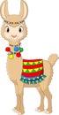 Cartoon funny llama on white background