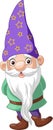 Cartoon happy gnomes on white background