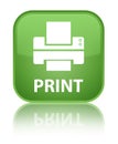 Print (printer icon) special soft green square button Royalty Free Stock Photo