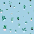 Houseplants pattern Royalty Free Stock Photo