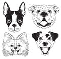 A set of 4 line drawings of dogs faces