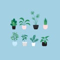 houseplants Royalty Free Stock Photo