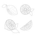 Set of hand drawn lemons, whole, half and slices with a leaves, cartoon style, black outline, vector