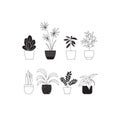 houseplants Royalty Free Stock Photo