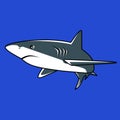 Sharks are a group of elasmobranch fish characterized Royalty Free Stock Photo