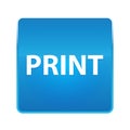 Print shiny blue square button