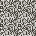 Print snake skin texture repeated seamless pattern anakonda boa