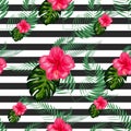 Print summer exotic jungle plant tropical palm leaves and flower red hibiscus. Pattern, seamless floral background Royalty Free Stock Photo