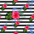 Print summer exotic jungle plant tropical palm leaves and flower red hibiscus. Pattern, seamless floral background Royalty Free Stock Photo